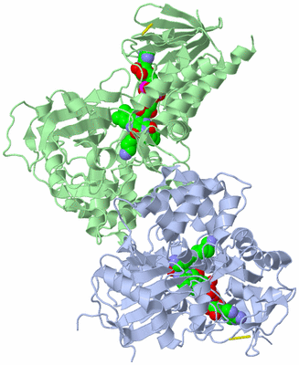 Image Asym./Biol. Unit