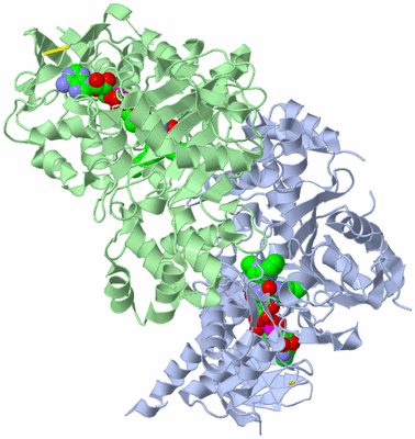 Image Asym./Biol. Unit