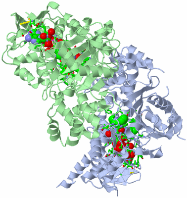 Image Asym./Biol. Unit - sites