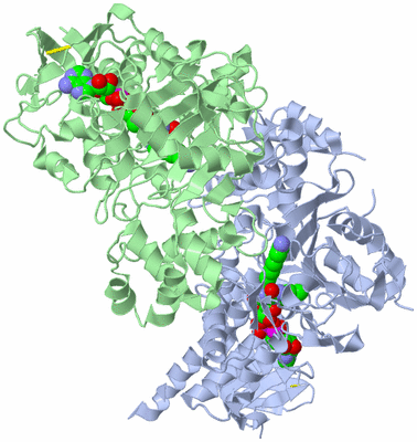 Image Asym./Biol. Unit