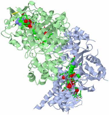 Image Asym./Biol. Unit - sites