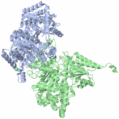 Image Biological Unit 3