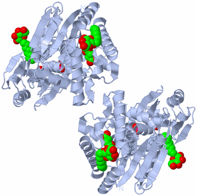 Image Biological Unit 1