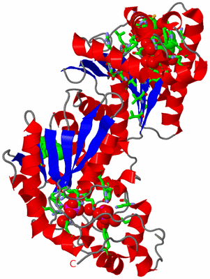 Image Asym. Unit - sites