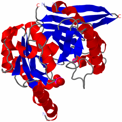 Image Asym./Biol. Unit