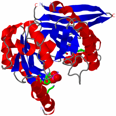 Image Asym./Biol. Unit - sites