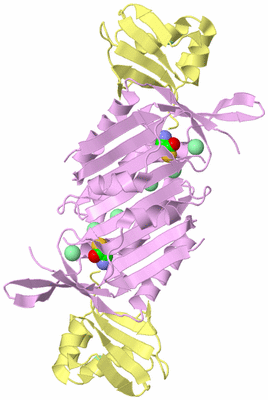 Image Biological Unit 1