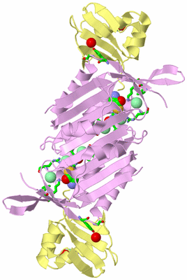 Image Biol. Unit 1 - sites