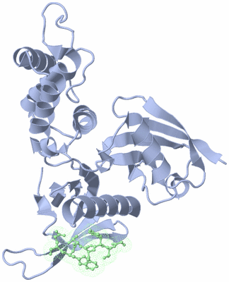 Image Biological Unit 3