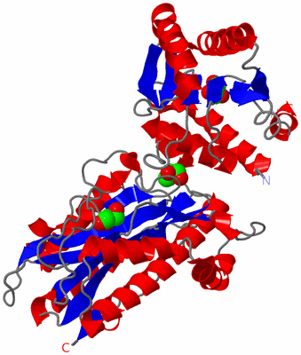 Image Asym./Biol. Unit