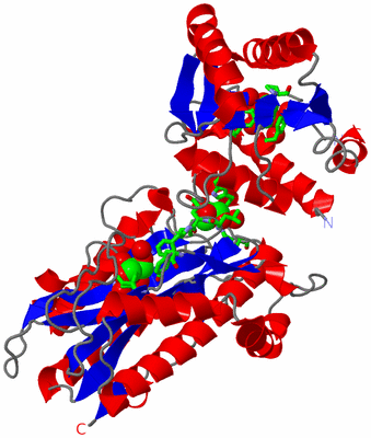 Image Asym./Biol. Unit - sites