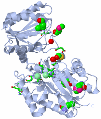 Image Biol. Unit 1 - sites