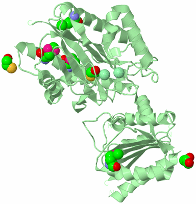 Image Biological Unit 2