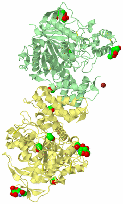 Image Biological Unit 2