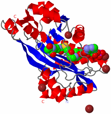 Image Asym./Biol. Unit