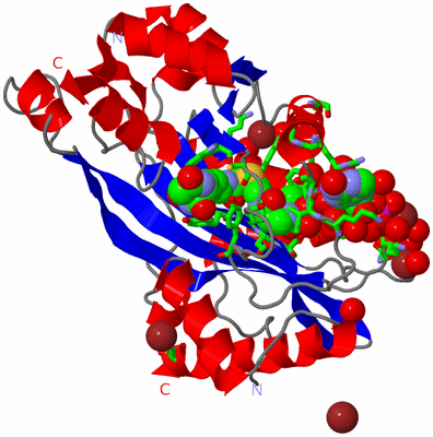 Image Asym./Biol. Unit - sites