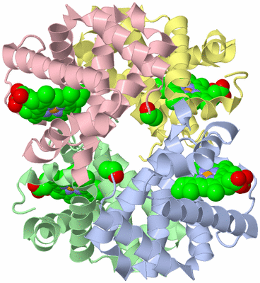 Image Asym./Biol. Unit