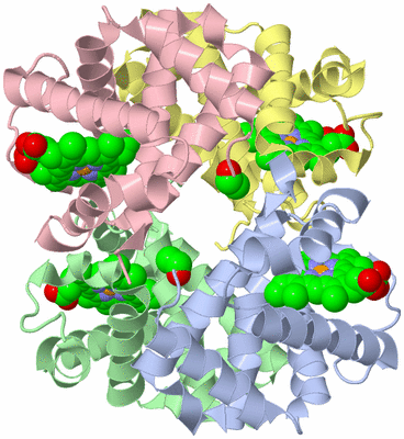 Image Asym./Biol. Unit