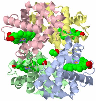 Image Asym./Biol. Unit