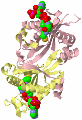 Image Biological Unit 2