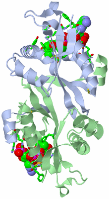 Image Biol. Unit 1 - sites