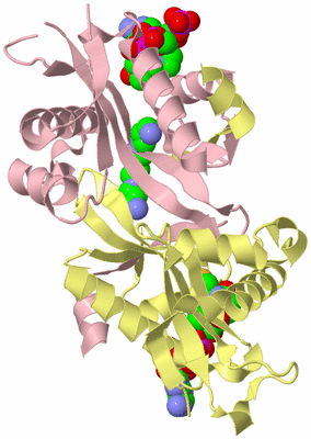 Image Biological Unit 2