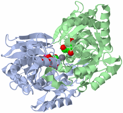 Image Asym./Biol. Unit