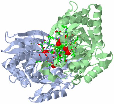 Image Asym./Biol. Unit - sites