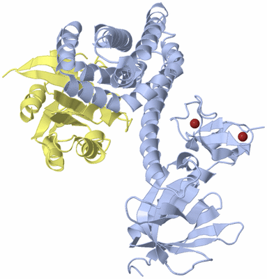 Image Biological Unit 1