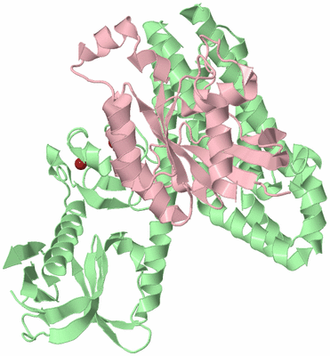 Image Biological Unit 2