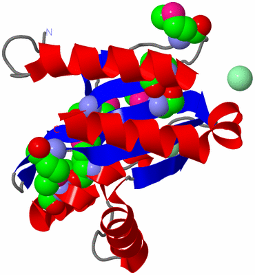 Image Asym./Biol. Unit