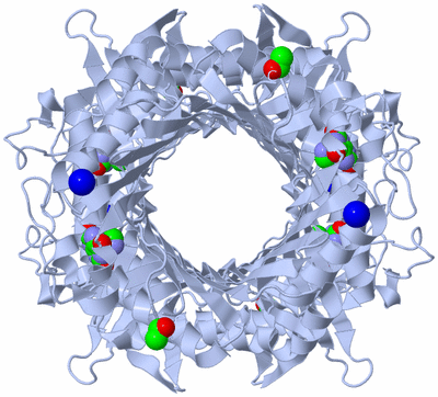 Image Biological Unit 1