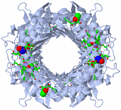 Image Biol. Unit 1 - sites