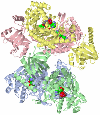 Image Biological Unit 1