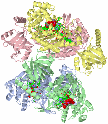 Image Biol. Unit 1 - sites