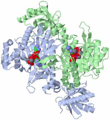 Image Biological Unit 2