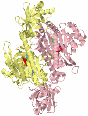 Image Biological Unit 3