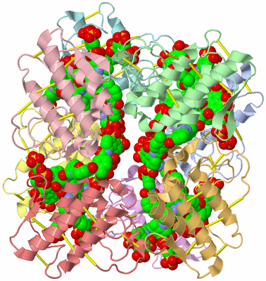 Image Asym./Biol. Unit