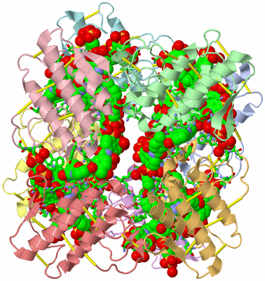 Image Asym./Biol. Unit - sites