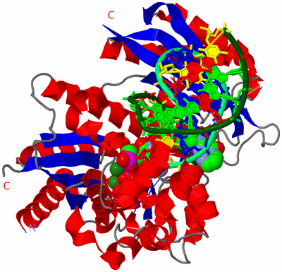 Image Asym./Biol. Unit