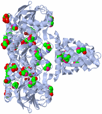 Image Biological Unit 1