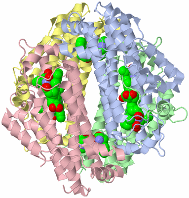 Image Biological Unit 1