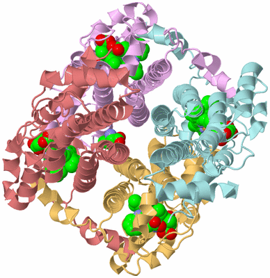 Image Biological Unit 2