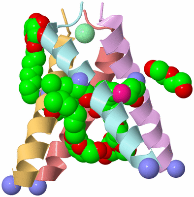 Image Biological Unit 1