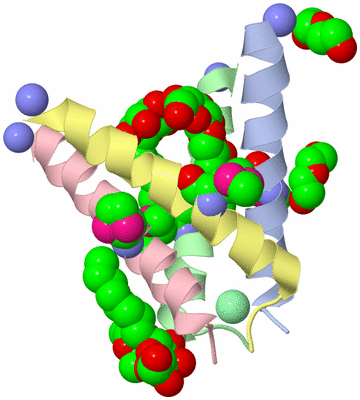 Image Biological Unit 2