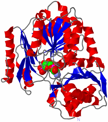 Image Asym./Biol. Unit