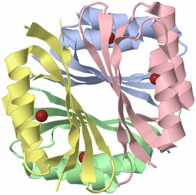 Image Biological Unit 1