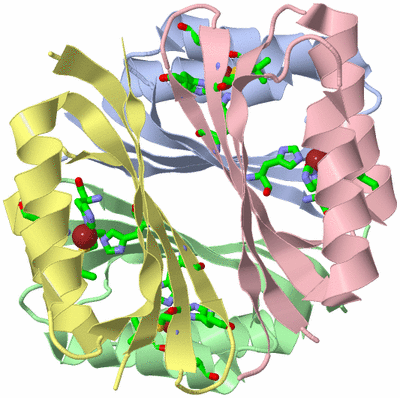 Image Biol. Unit 1 - sites