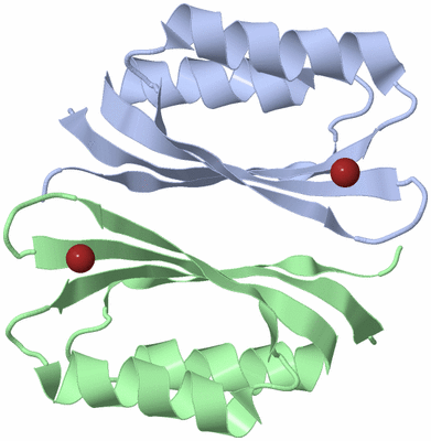 Image Biological Unit 2