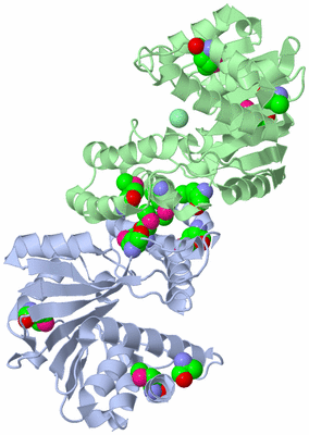 Image Asym./Biol. Unit